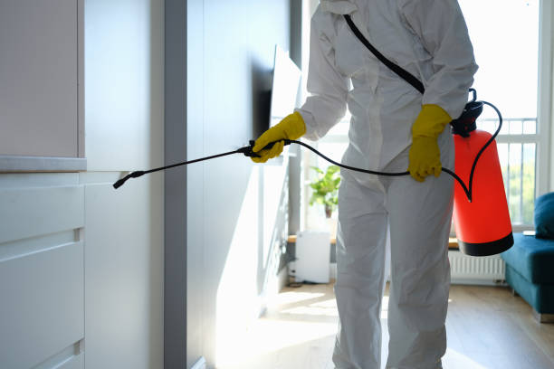 Best Same-Day Mold Removal  in Fort Pierce North, FL
